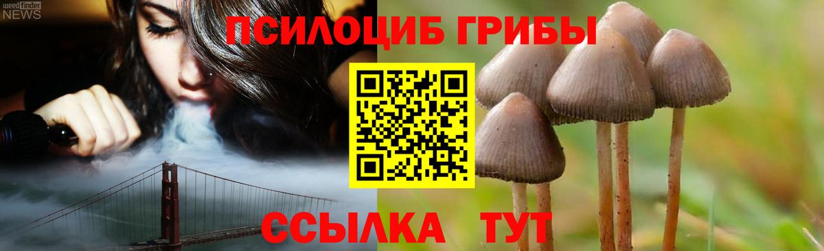 Советск  Псилоцибиновые грибы мицелий  Вход с VPN 